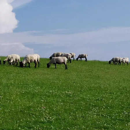 Zeit Für Uns